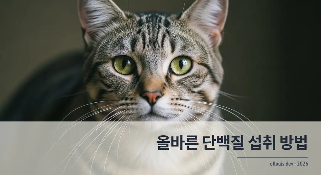 프로틴 쉐이크와 계량 스푼 — 단백질 보충제 섭취 가이드